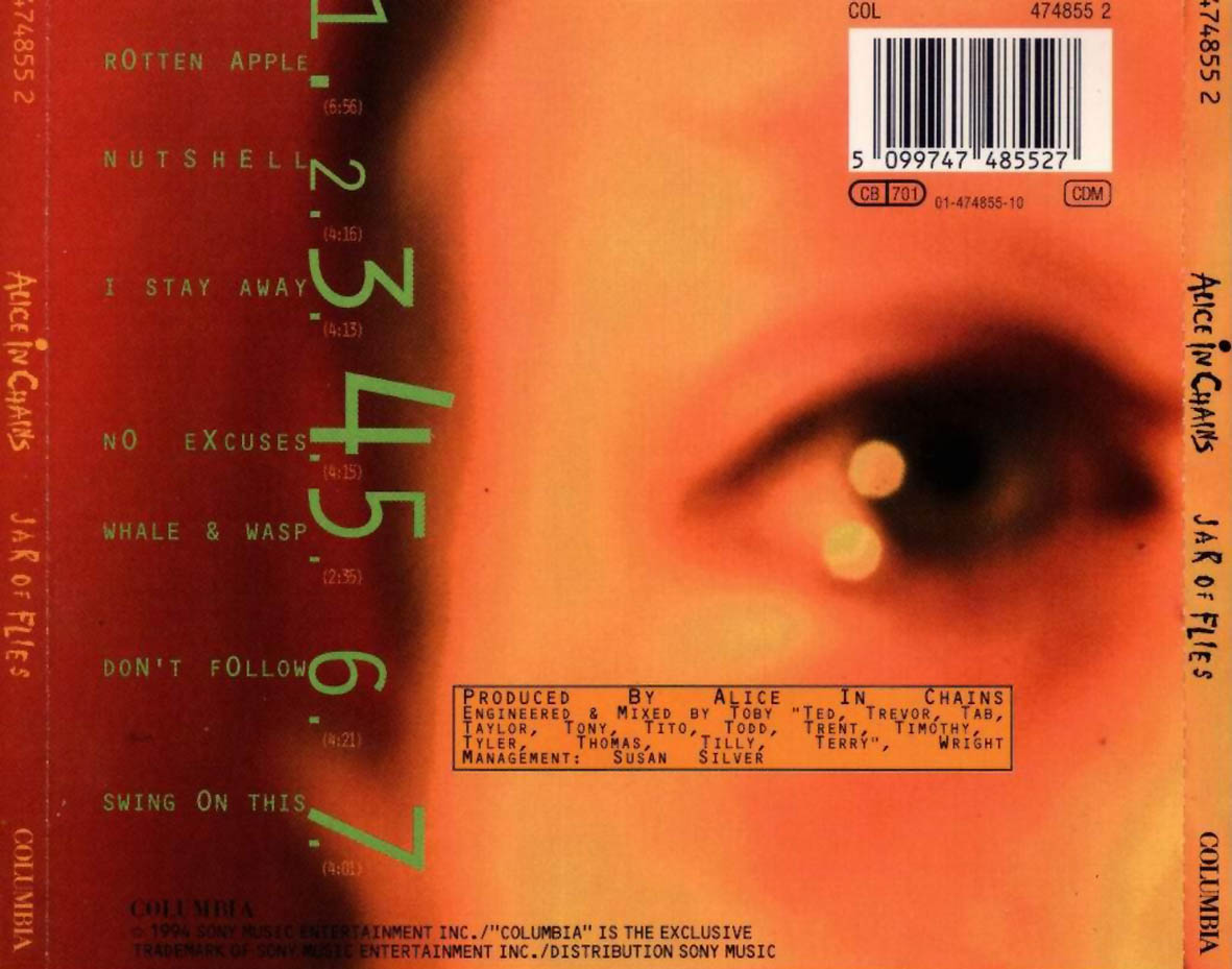 alice in chains dirt lyrics